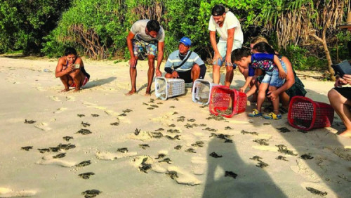Du lịch sinh thái Côn Đảo: Trải nghiệm thiên nhiên đi đôi với bảo tồn