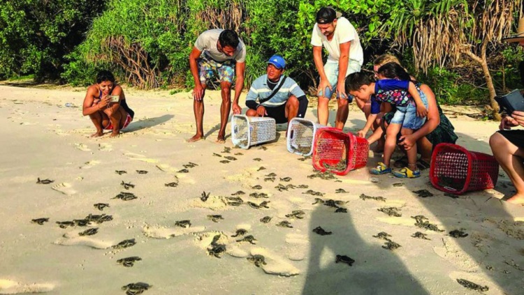 Du lịch sinh thái Côn Đảo: Trải nghiệm thiên nhiên đi đôi với bảo tồn
